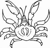 Crab Coloring Printable Crabs Adult Bestcoloringpagesforkids Cartoon Sheets sketch template