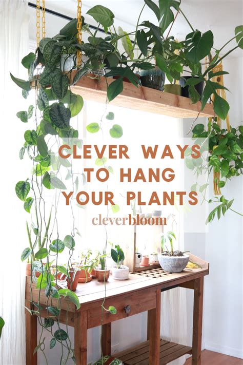 Sharing a room with your baby isn't always a bed of roses. Clever Ways To Hang Your Plants | House plants indoor ...