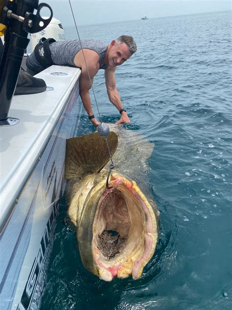 Massive Grouper Reeled In Off Florida We Caught A Monster