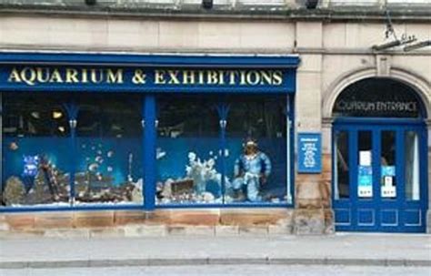 Matlock Bath Aquarium And Exhibitions 2021 All You Need To Know Before