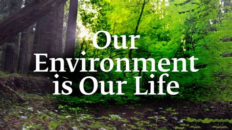 Our Environment Is Our Life Sadhguru Youtube
