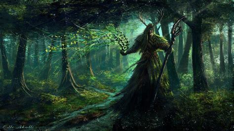 Ancient Forest Wallpapers Top Free Ancient Forest Backgrounds