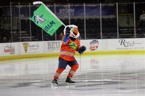 Maine Mariners Mascot Beacon The Puffin December 17 2018 Photo On