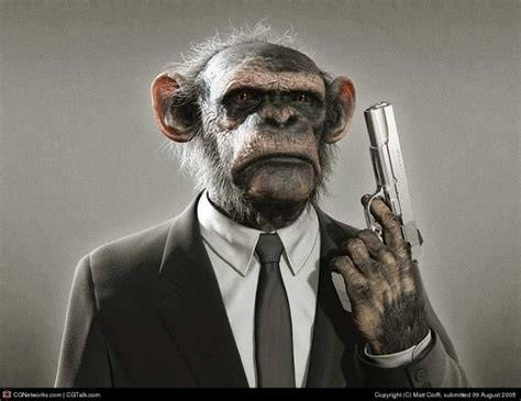 Kallerip Funny Animals With Guns Funny Pics Of Animals With Guns