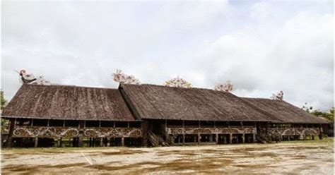 Rumah lamin merupakan rumah adat kalimantan timur, yang menjadi identitas suku dayak kenyahk. Rumah Adat Lamin Asal Suku Dayak Kalimantan Timur