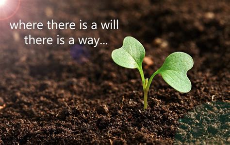 Where there is a will there is a way | Meaning and Proverb Examples | Essay