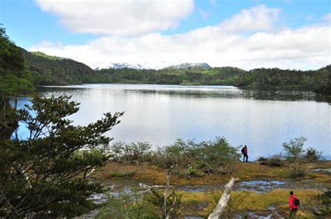 Queulat National Park Patagonia Guide Of National Parks In Chile