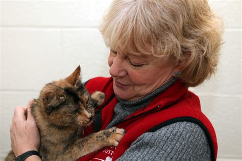 Animal Rescue League Of Boston Jobs - petfinder