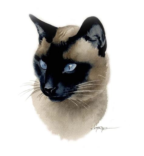 Siamese Cat Watercolor Painting Art Print By Artist Dj Rogers Etsy In