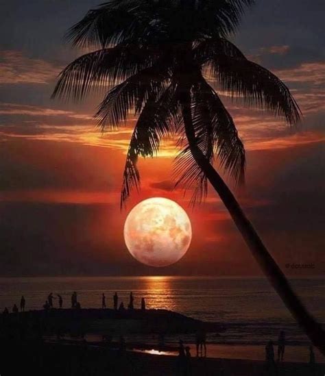 ʖ ͡° ᔖꆭᔿvcᔖᎮorᎮꆭrᎿo Beautiful Moon Beautiful Sunset Moon Photography
