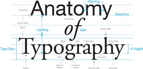 Web Design Typography 5 Things You Need To Know