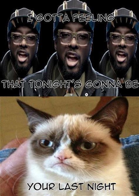 Grumpy Cat Good Night Meme Grumpy Cat Pinterest