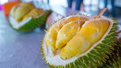 8 unusual aphrodisiacs from around the world lonely planet