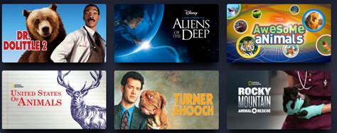 The new home for your favorites. Animal Movies on Disney+ - Best Movies Right Now