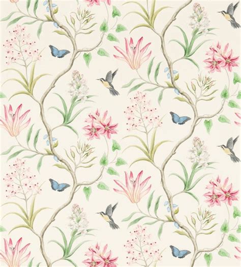 Clementine Wallpaper By Sanderson In Chintz Jane Clayton