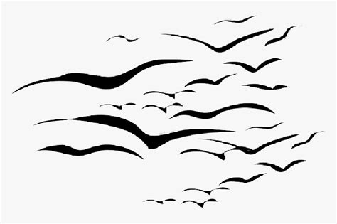 Bird Flying In The Sky Drawing
