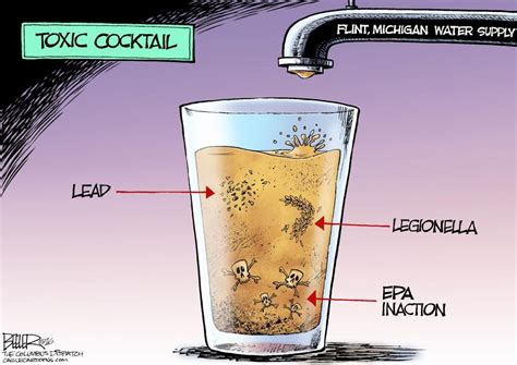 Cartoons Flint Michigan Water Crisis The Mercury News