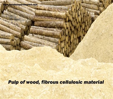 Procedures To Export Pulp Of Wood Fibrous Cellulosic Material