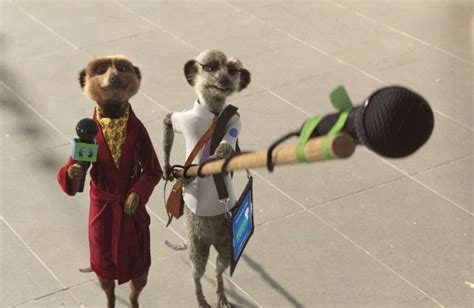 Meerkats Put Aussies To The Test In New Compare The Market Tvc Lbbonline