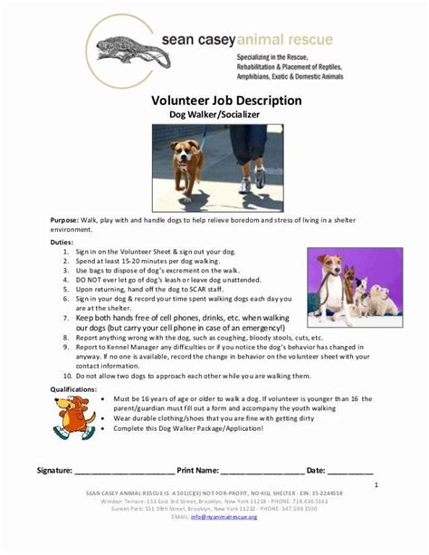 Alibaba.com offers 1,672 pet animal rescue products. Animal Shelter Volunteer Resume Beautiful Dog Walker Volunteer Package in 2020 | Animal shelter ...