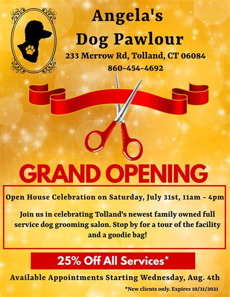 Jul 31 Angelas Dog Pawlour Grand Opening Tolland Ct Patch