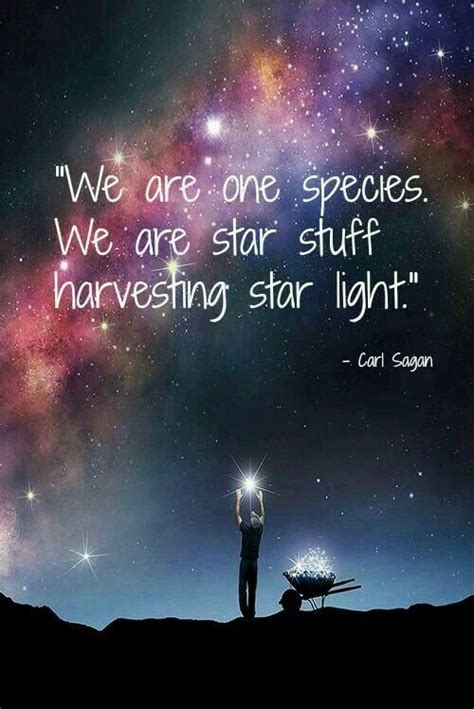 Pin By Quotes For Success On Leadership Carl Sagan