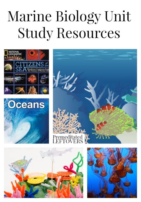 Marine Biology Unit Study Resources