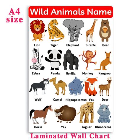 Animals Chart A4 Size Laminated Wall Chart Educational Learning