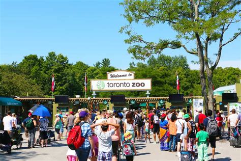 Toronto Zoo Dolf Dejong Looks To The Future Blooloop