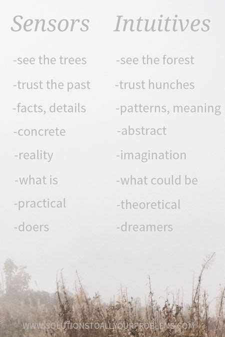 Psychology Personality Test Forest