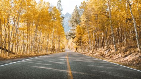 Download Wallpaper 1920x1080 Road Trees Autumn Asphalt Landscape