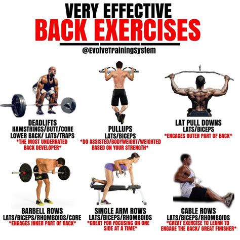 VERY EFFECTIVE BACK EXERCISES Follow Evolvetrainingsystem For