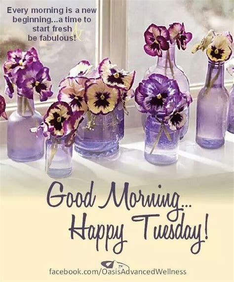 Every Morning Is A New Beginning Good Morning Happy Tuesday Purple Vase