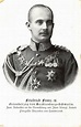 Großherzog Friedrich Franz IV von Mecklenburg-Schwerin Net Worth 2023 ...