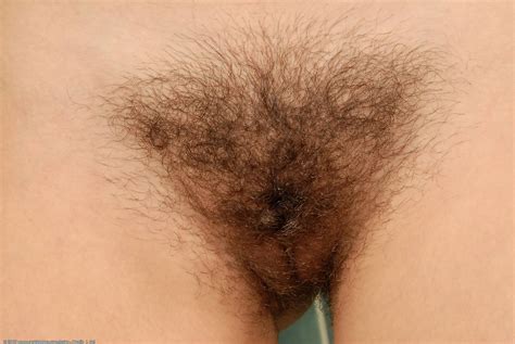 Hairy Vagina Thefappening Library