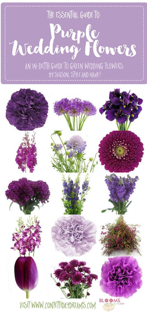 The Complete Guide To Purple Wedding Flowers Purple Flower Names