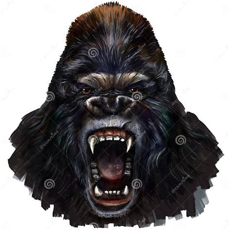 Gorilla Scream Stock Illustration Illustration Of Canvas 64076185