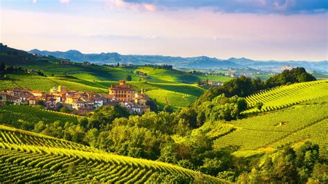 Barolo Piedmont Revered Italian Red Wines