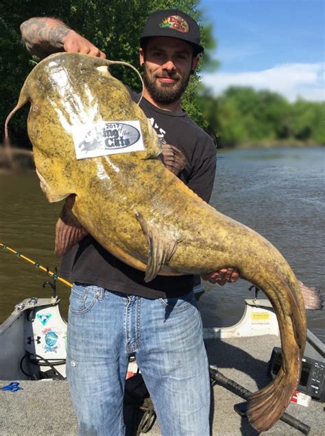 Shakopee Angler Ties Own State Record With 49 Inch Flathead Catfish