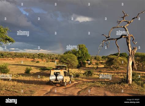 Safari In Tarangire National Park Tanzania Stock Photo Alamy