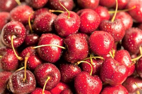 Cherries Info Facts Nutritional Value And Health Benefits Wikifarmer