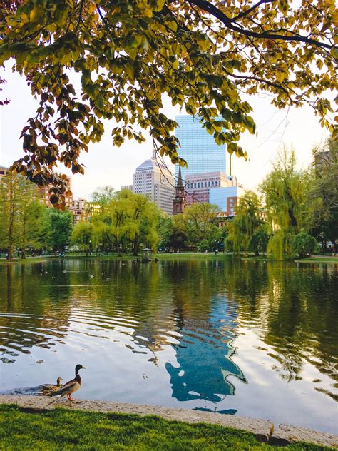 20 Top Reasons To Visit Boston The Travel Women Visit Boston In