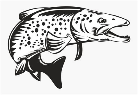 Brook Trout Sea Trout Clip Art Spotted Fish Outline Free