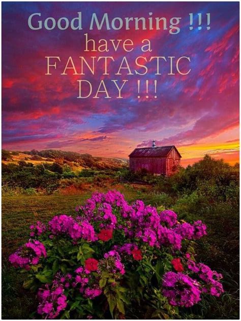 Fantastic Day Good Morning Pictures Photos And Images For Facebook