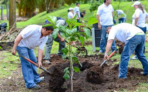 Management programs help you develop a series of skills. How Does Reforestation Help Global Warming - The Global ...
