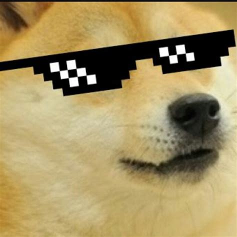 Doge Xbox Anyone Have A Hd Ver Of The Dog Gamerpic From Xbox 360