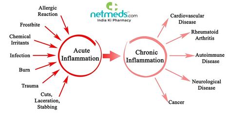Inflammation Types Causes Symptoms And Treatment