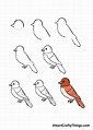 Bird Drawing - How To Draw A Bird Step By Step!