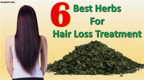 6 Best Herbs For Hair Loss Treatment Natural Solution Youtube