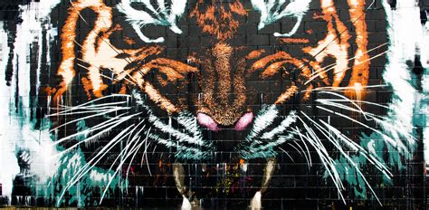 Tiger Graffiti Graffiti In Glasgow Stuartws777 Flickr